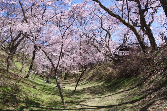 南ゲート沿いの堀。