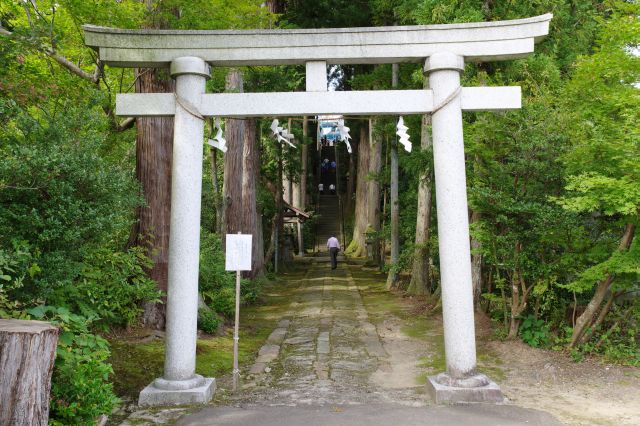 春日神社（上越市）の写真ページへ