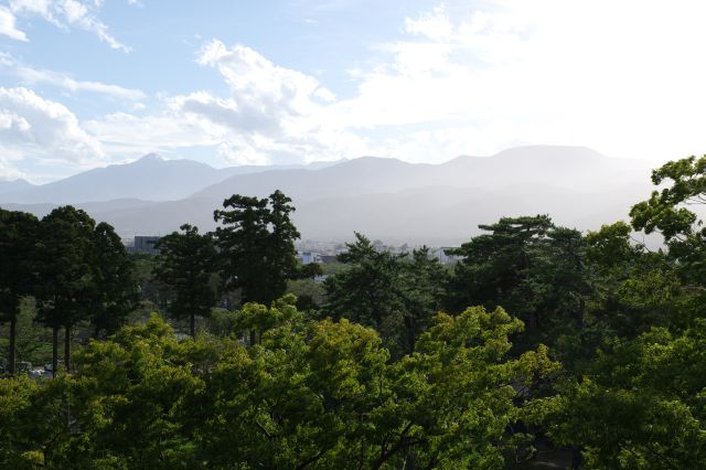 木々の向こうに山並みが見えます。