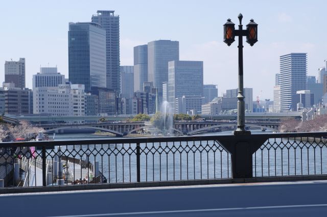 下流側は中之島公園とビル群。