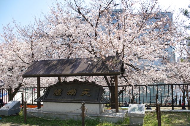 天満橋のプレート。桜があふれます。