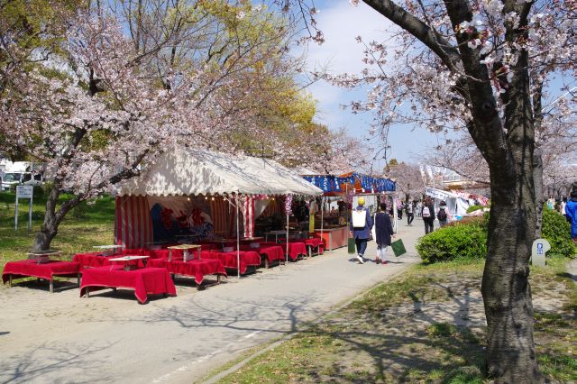 川沿いに桜並木と出店が続きます。