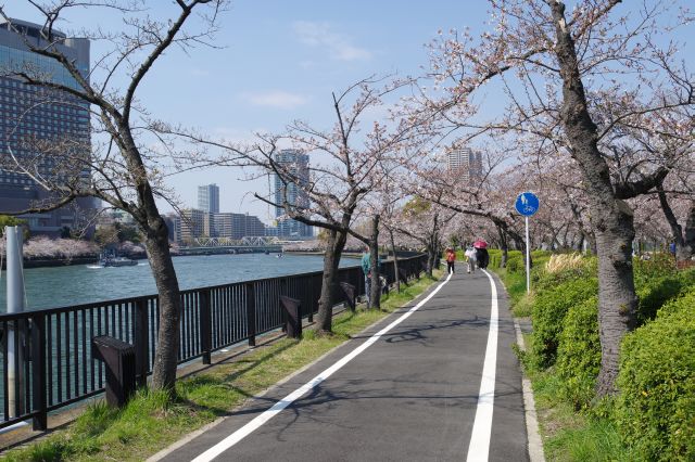 心地よい川沿いの道を進みます。