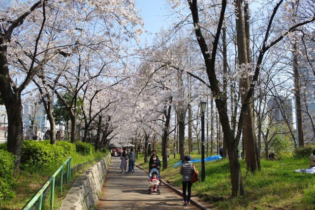 駅前も花見スポットです。