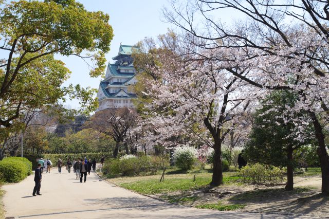 心地よい園内。