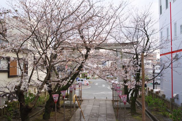 住宅街の中の静かな神社。