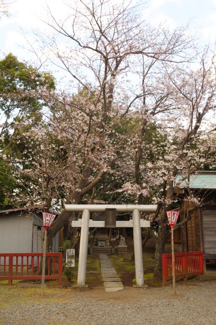 左手には穀物の神様の倉稲魂命を祀る高尾山穂見神社。