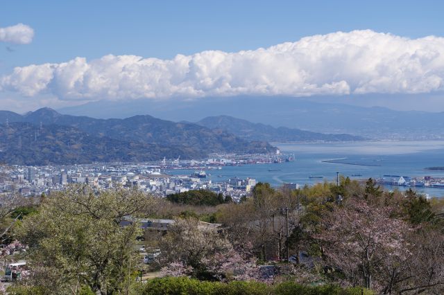 天気は良いが富士山は雲隠れ。