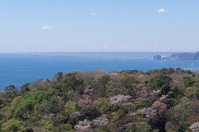 湾の先の平地に街並みが広がります。