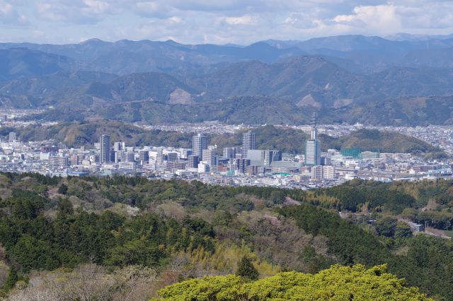 もう1か所建物が多いのが東静岡駅周辺。