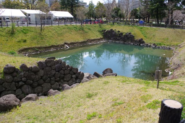 水路の先の本丸堀の一部。鯉が泳いでいます。