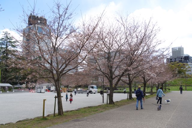 西側はキャッチボールや犬の散歩など公園らしいエリア。