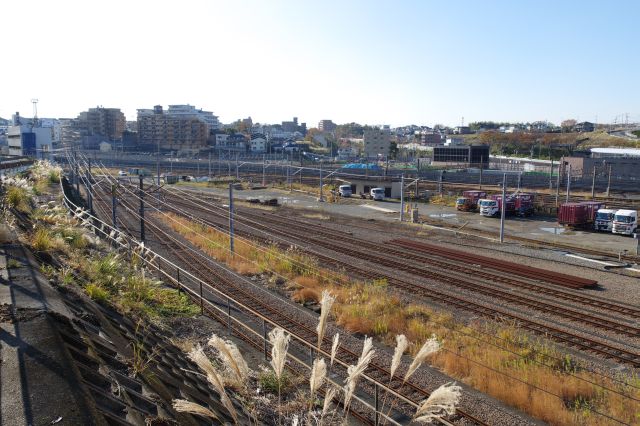 歩道の先の丘の上より。広がる貨物線路群と、後ろには住宅街。