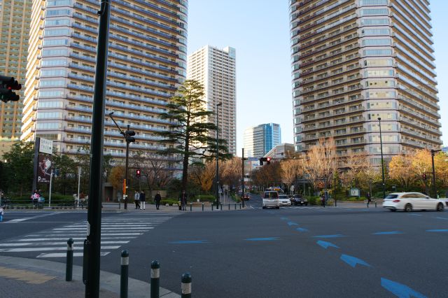 タワーマンションの立ち並ぶ独特の町並み。