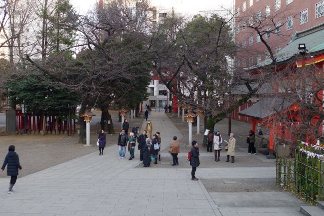 ビルに囲まれた別世界で都会のオアシス的な神社。