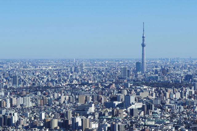 東京スカイツリー周辺。