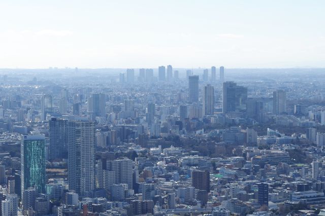 武蔵小杉のタワーマンション群が見えます。