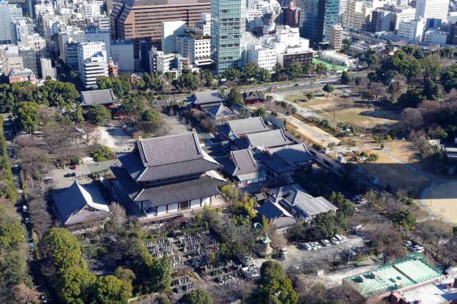 増上寺も少し低い近い視点に。