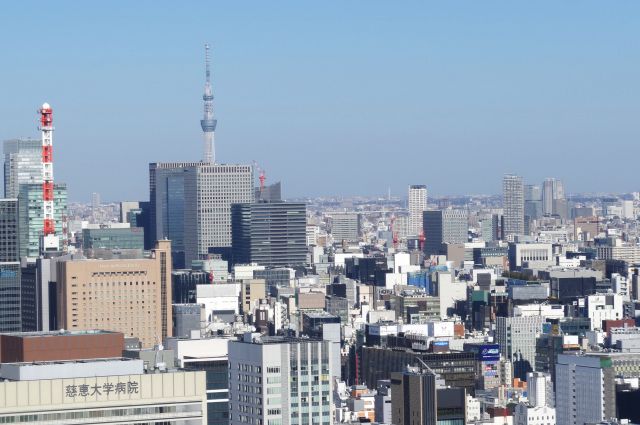 東京スカイツリーも頭だけ見えます。