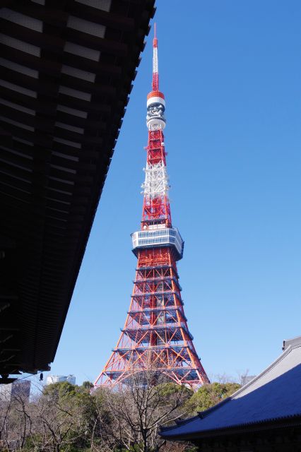 大殿脇から見える東京タワー。