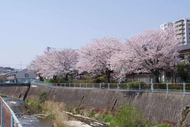 対岸より。