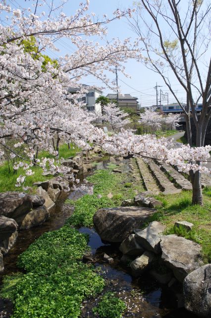 小さい橋の上より。