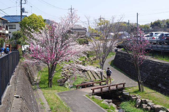 階段を登った上より。