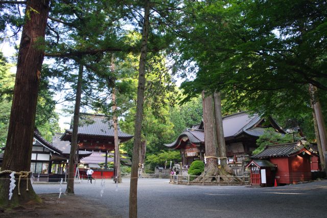 周囲とは別世界でスケールの大きく重厚感のある神社でした。