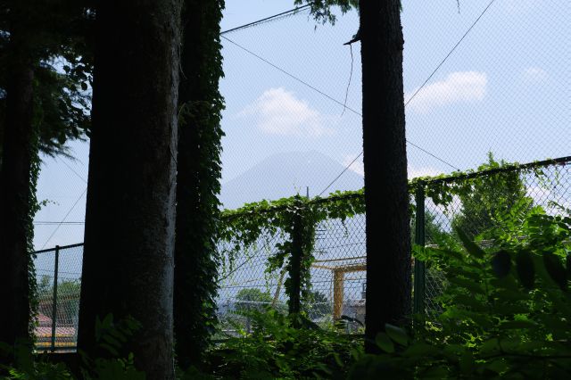 富士山がうっすらと見えます。