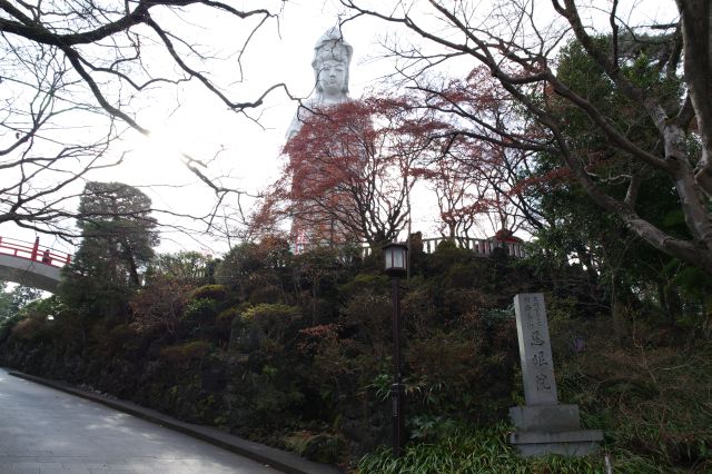 山の上にそびえ立つ巨大な観音、坂を上り近づきます。