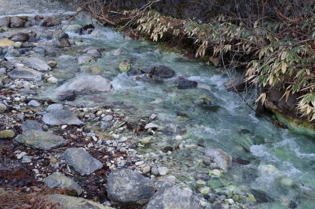 温泉の湯の川。少し緑がかっています。