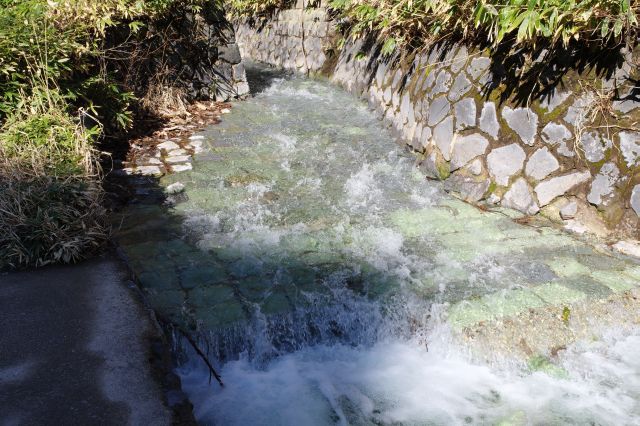 脇を流れる湯の川、流れる音が響きます。