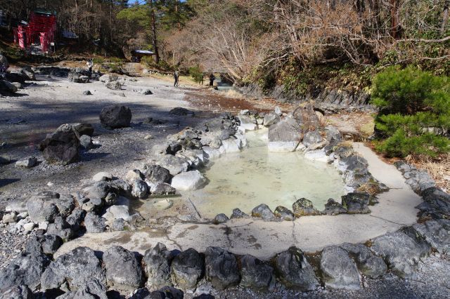 所々にある池。温度は様々。