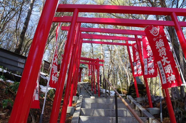 稲荷神社らしく沢山の鳥居をくぐります。