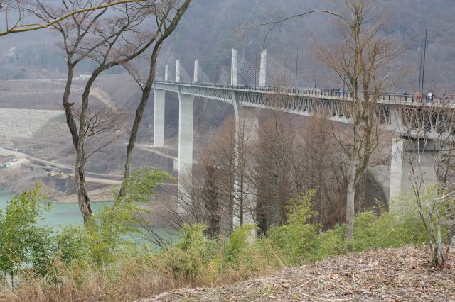 谷を跨ぐ高い橋脚の不動大橋。