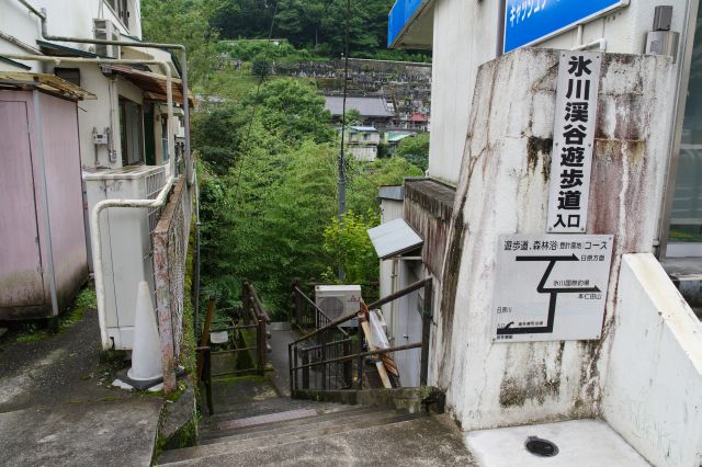 そんな駅の目の前に氷川渓谷遊歩道の入口の1つがあります。