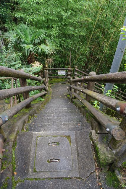 建物の間の狭い階段を下ります。