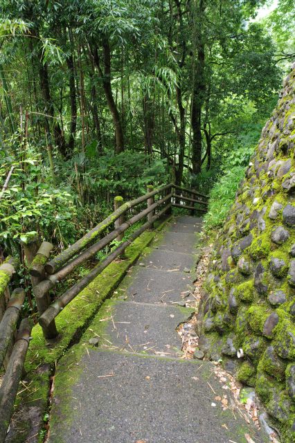 左側は緑の木々が生い茂り、段々水の音が強くなります。