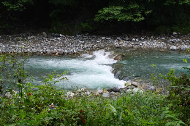 涼しい川の流れが心地よい。