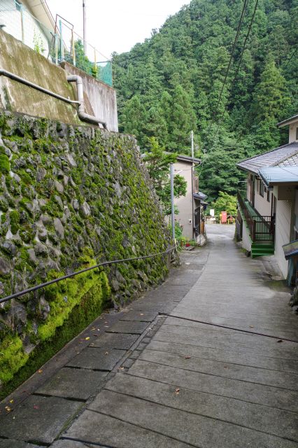 近くの奥氷川神社脇の坂を下ります。