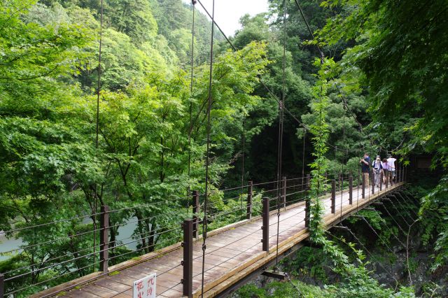 氷川渓谷遊歩道の写真ページ