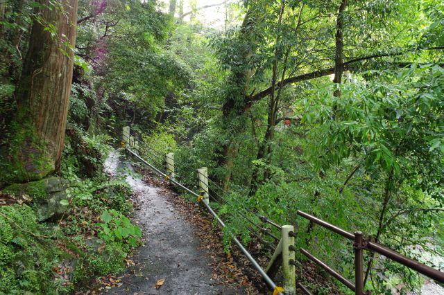 右側、さきほどの北氷川橋に通じる道。