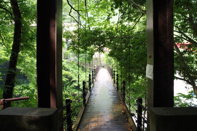 後方、豊かな緑の中の氷川小橋。