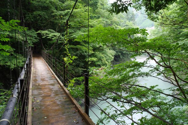 駅から遠くないですが自然豊かな渓谷風景を楽しめます。