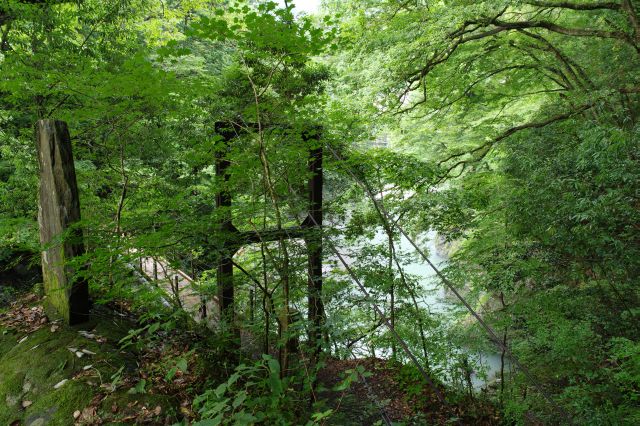 緑の中の登計橋。