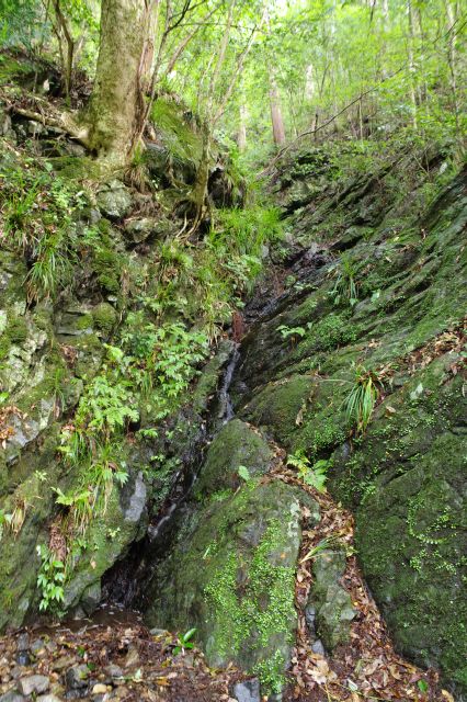 多摩川沿いの散策路、小さな水の流れ。