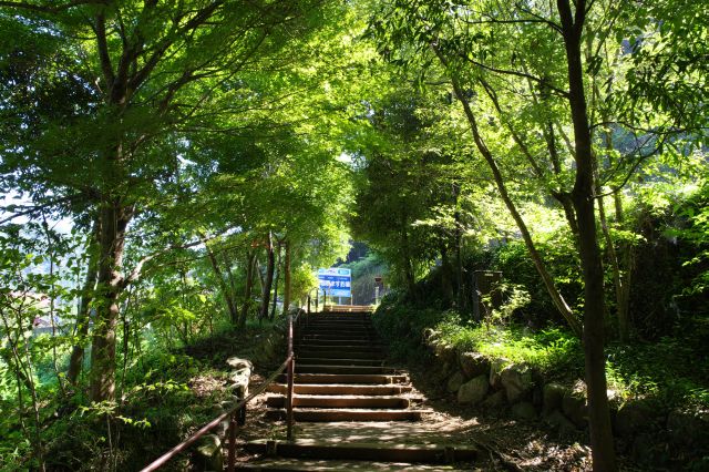 檜原街道へと続きます。