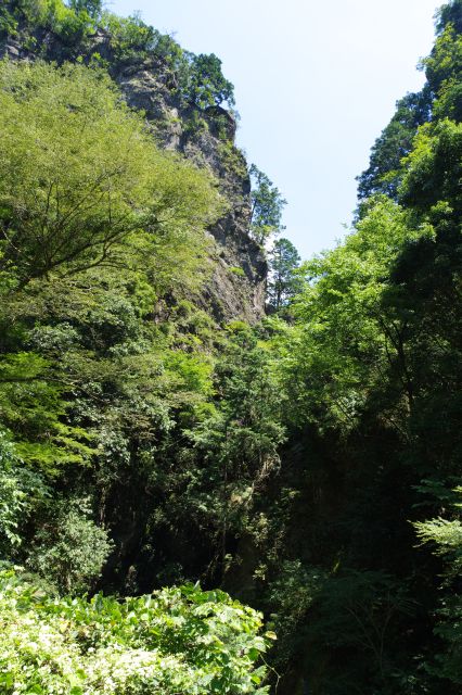 見上げると高さがある切り立った岩場、迫力があります。