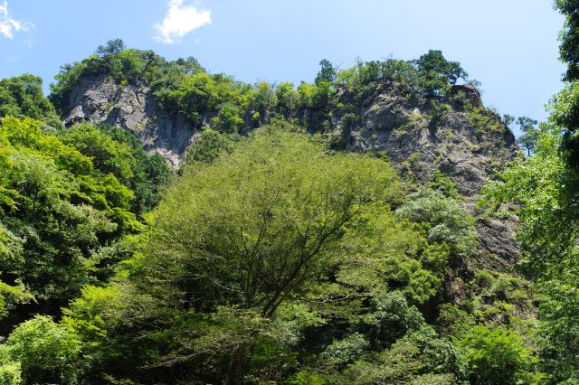 左側の大きな岩肌。