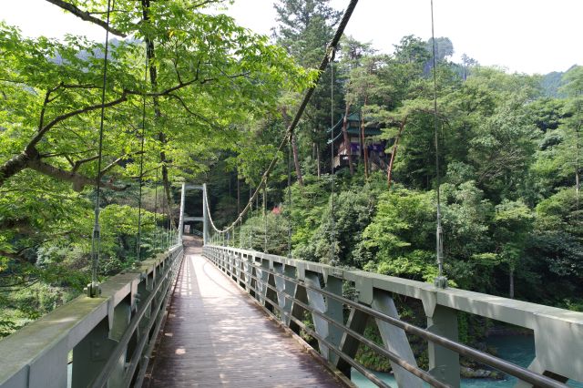 青梅線沢井駅から楓橋を渡ると、右側に寒山寺の本堂が見えます。